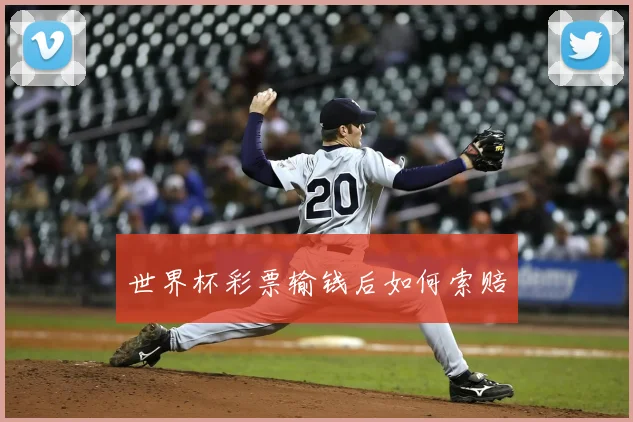 世界杯彩票输钱后如何索赔