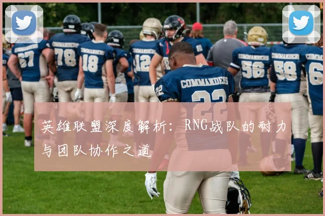 英雄联盟深度解析：RNG战队的耐力与团队协作之道