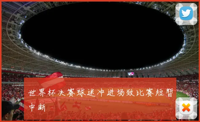 世界杯决赛球迷冲进场致比赛短暂中断