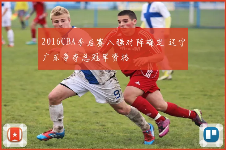 2016CBA季后赛八强对阵确定 辽宁广东争夺总冠军资格