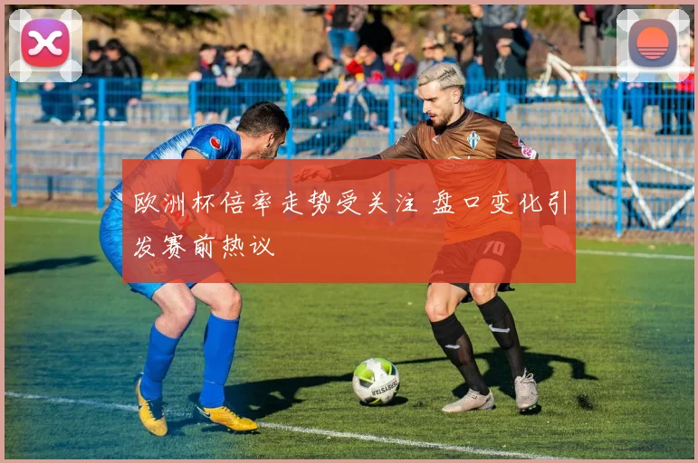 欧洲杯倍率走势受关注 盘口变化引发赛前热议