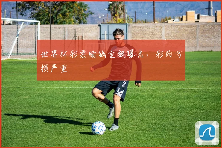 世界杯彩票输钱金额曝光，彩民亏损严重