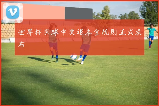 世界杯买球中奖退本金规则正式发布