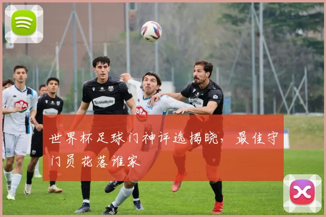 世界杯足球门神评选揭晓，最佳守门员花落谁家