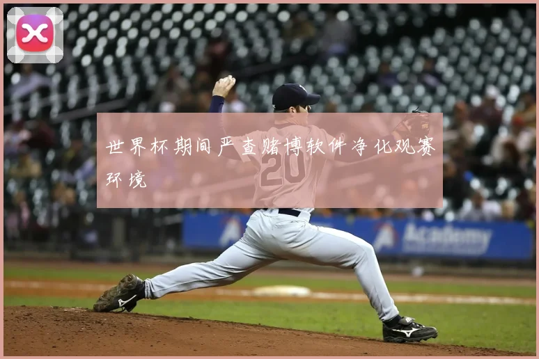 世界杯期间严查赌博软件净化观赛环境