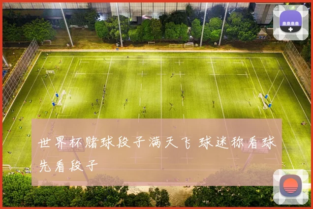 世界杯赌球段子满天飞 球迷称看球先看段子