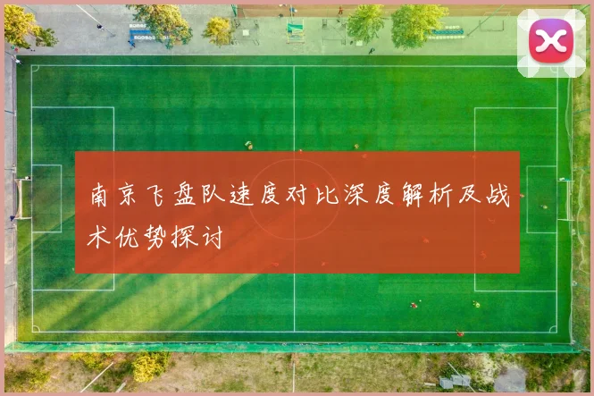 南京飞盘队速度对比深度解析及战术优势探讨