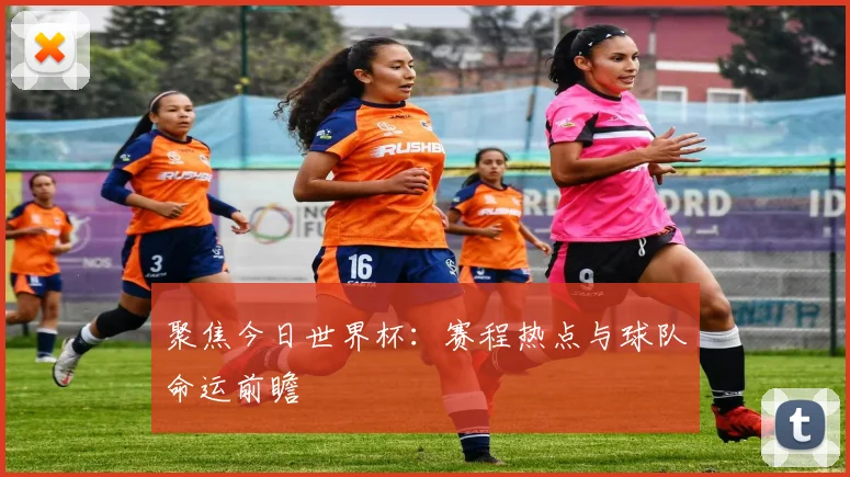 聚焦今日世界杯：赛程热点与球队命运前瞻